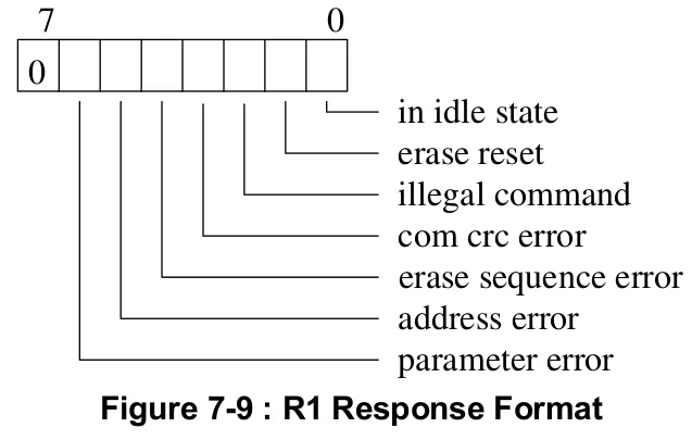 R1 Response Format