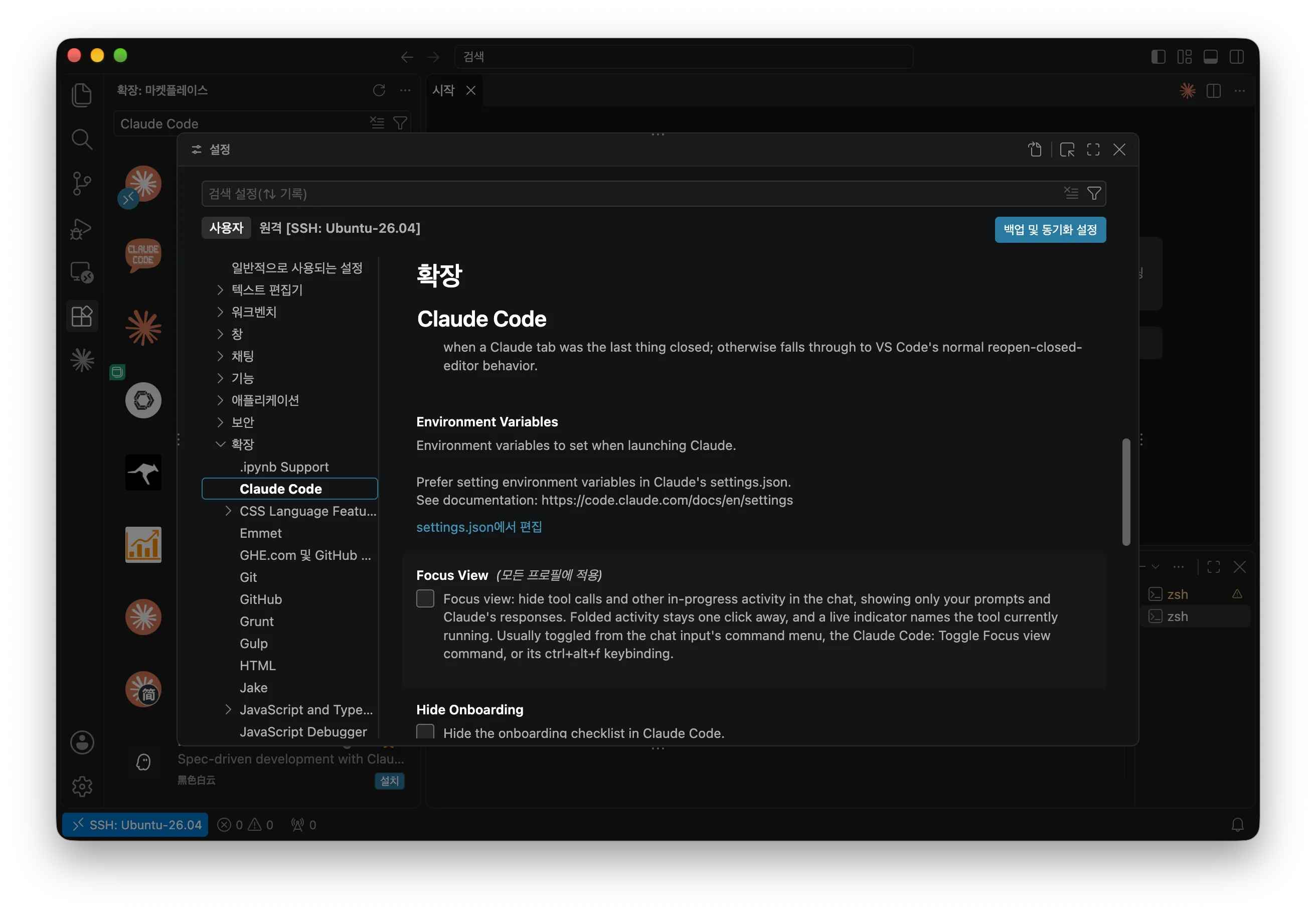 VScode Claude Code Setting