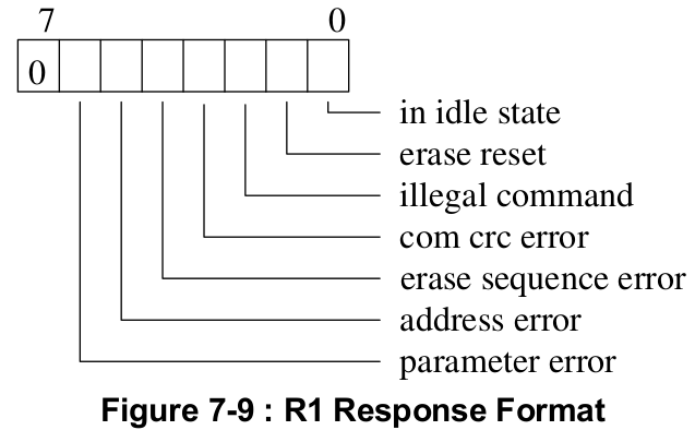 R1 Response Format